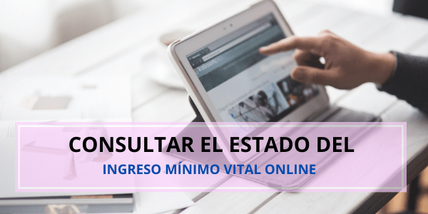 Consultar estado ingreso mínimo vital