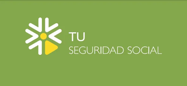 tu seguridad social portal de consultas de prestaciones